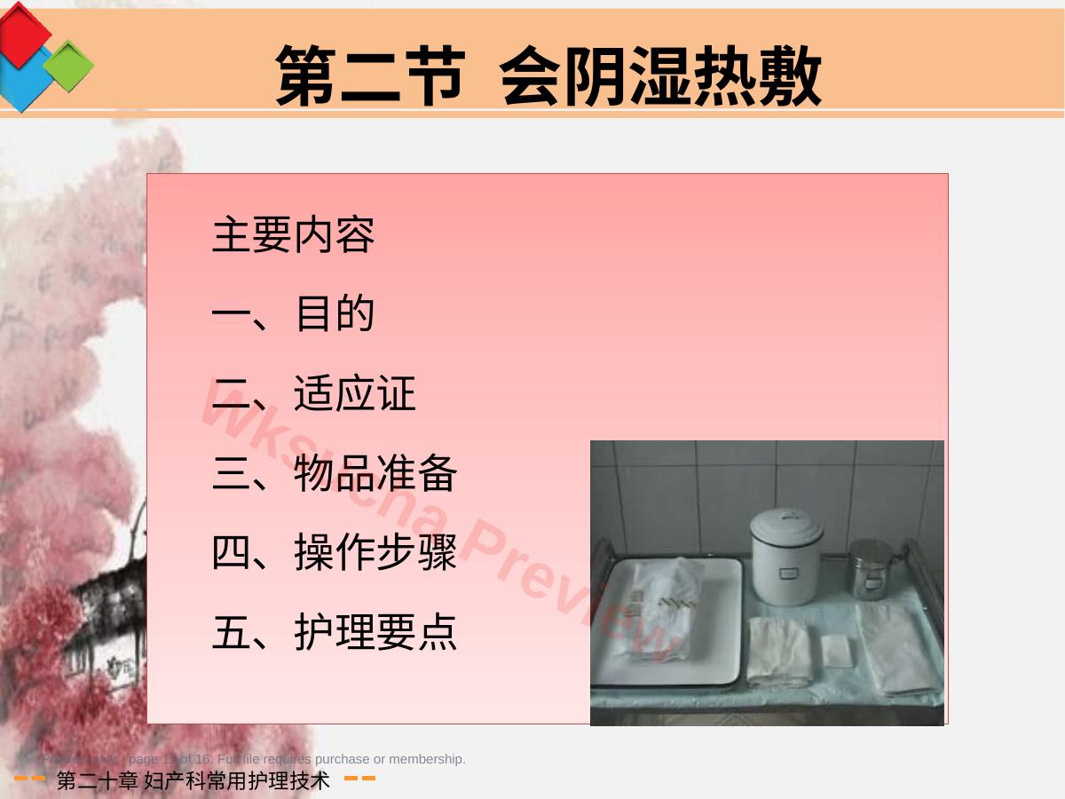 预览第 12 页