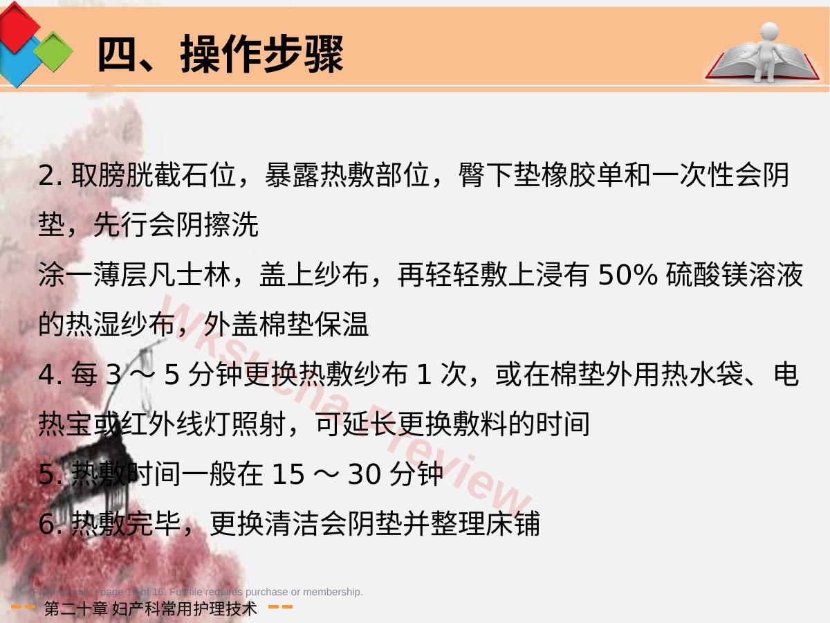 预览第 16 页