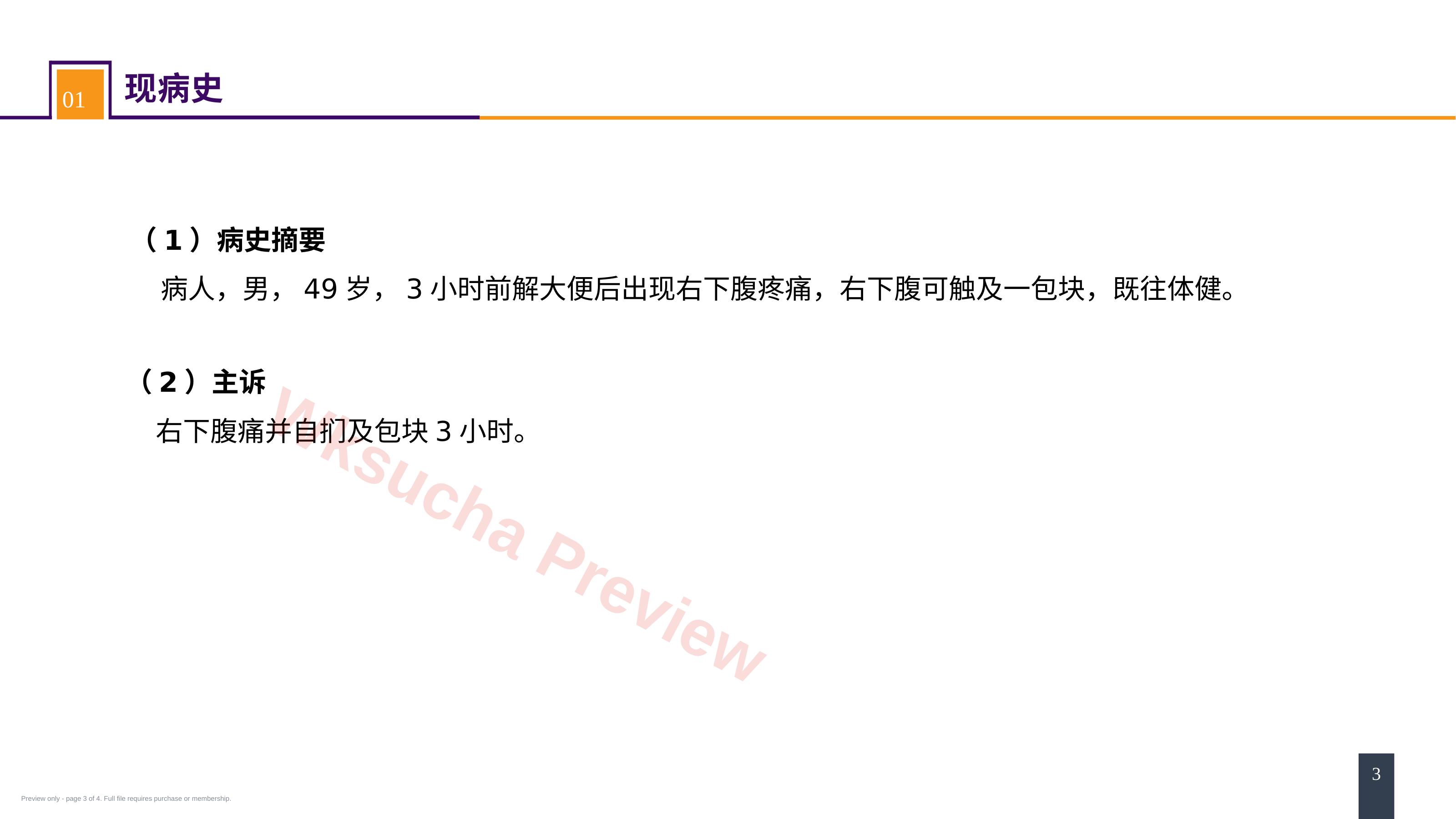 预览第 3 页