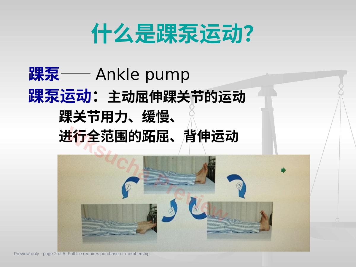 预览第 2 页