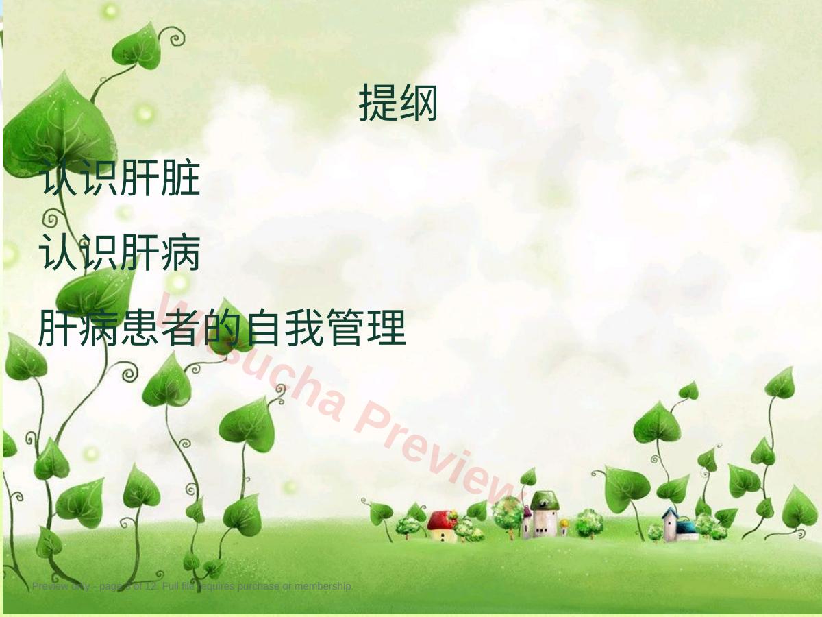 预览第 3 页
