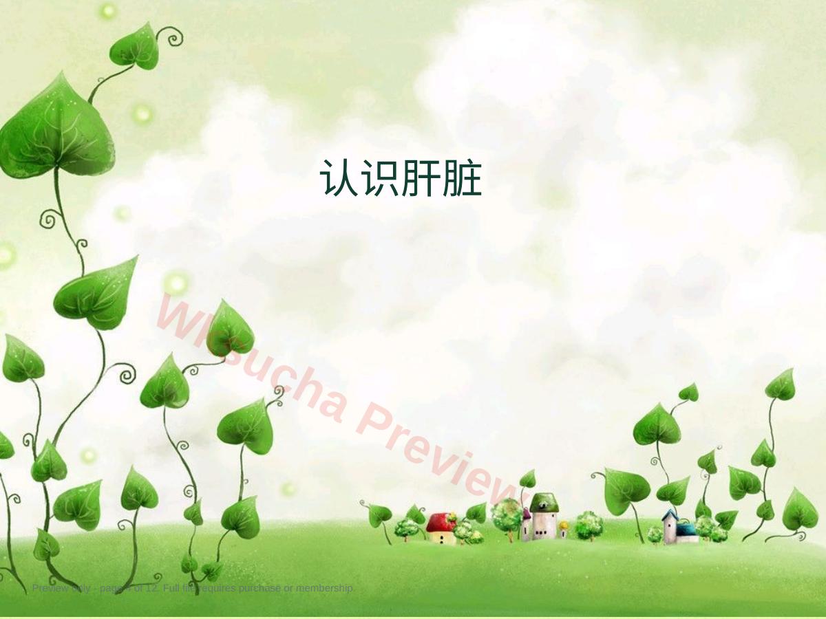 预览第 4 页