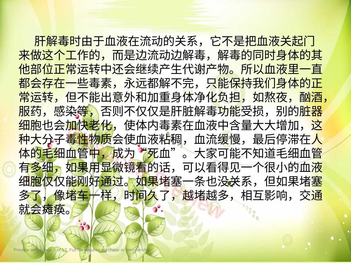 预览第 5 页
