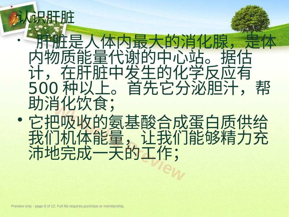 预览第 6 页