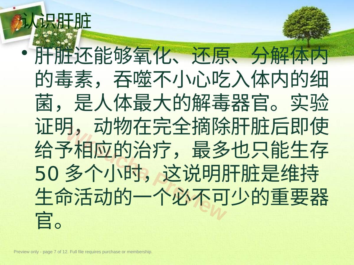 预览第 7 页