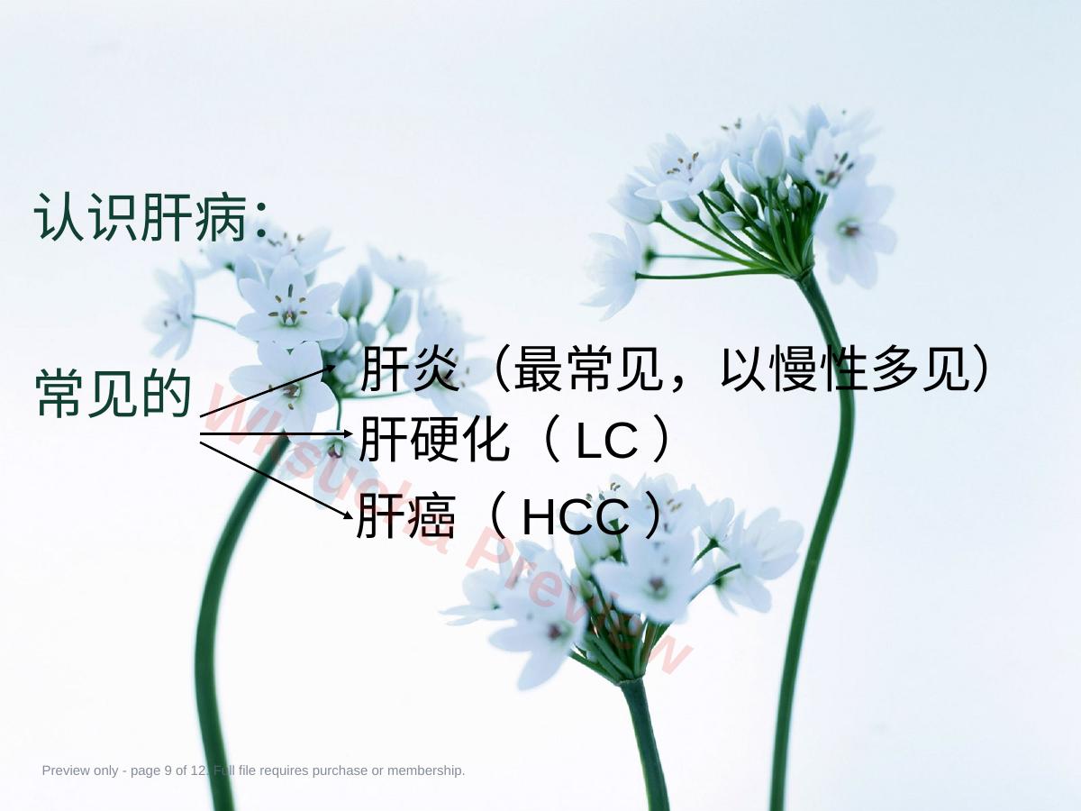 预览第 9 页