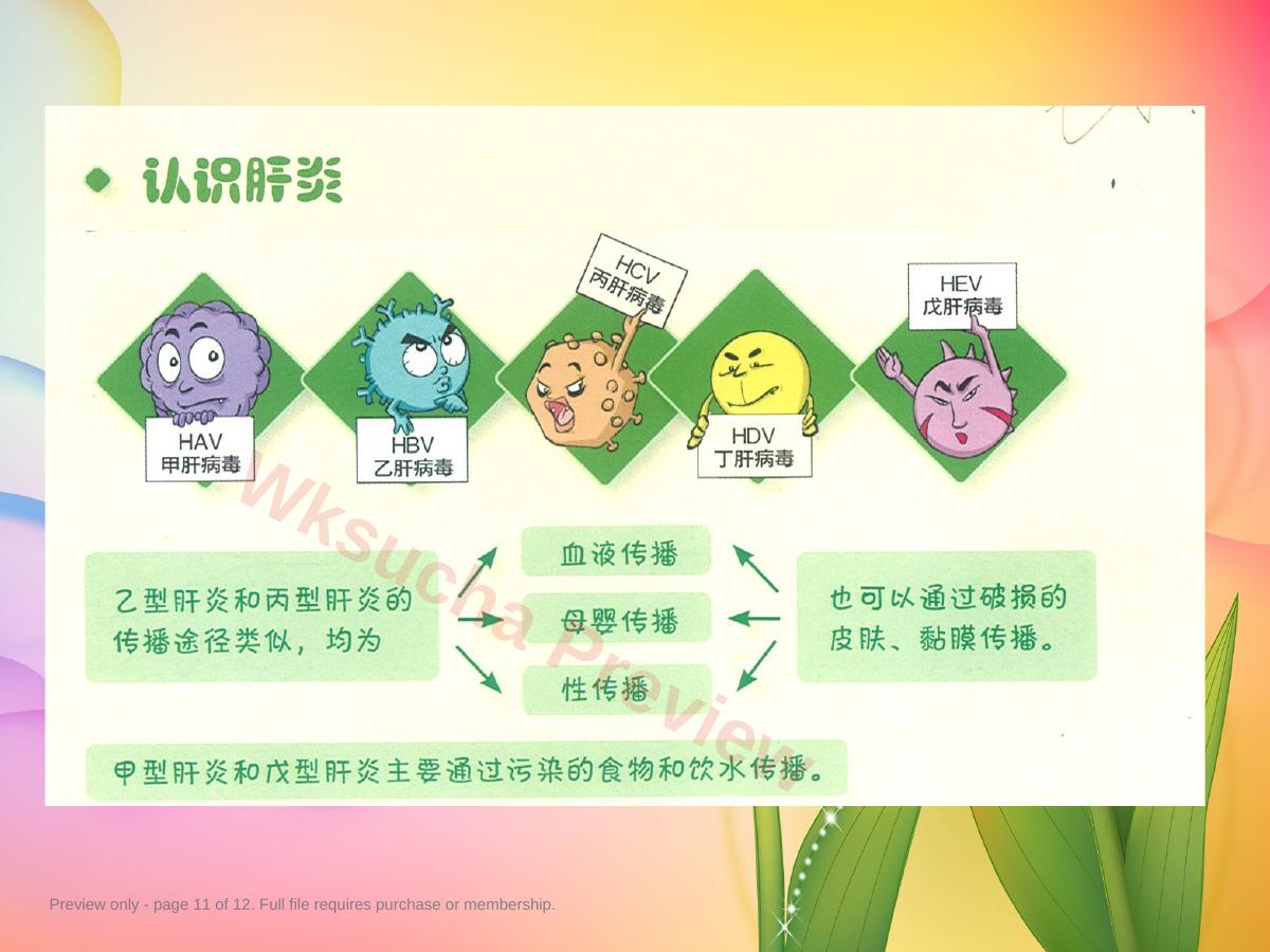 预览第 11 页