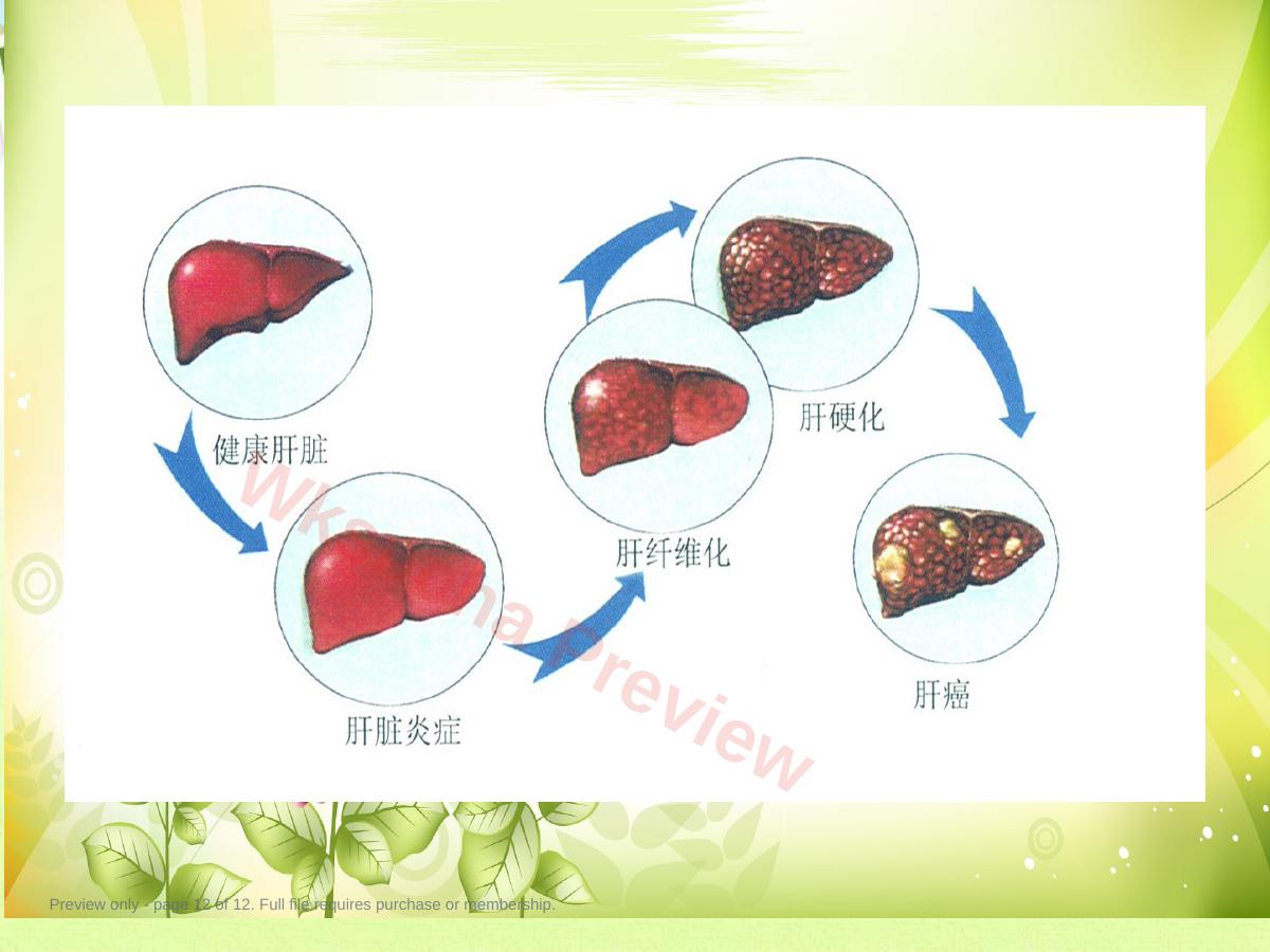 预览第 12 页