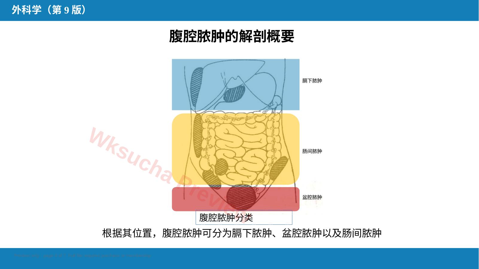 预览第 4 页