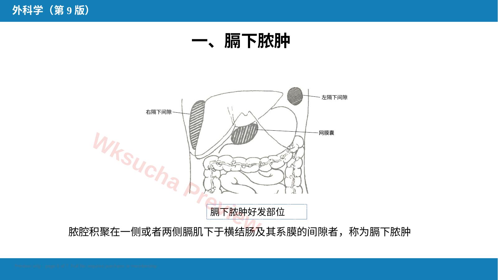 预览第 5 页