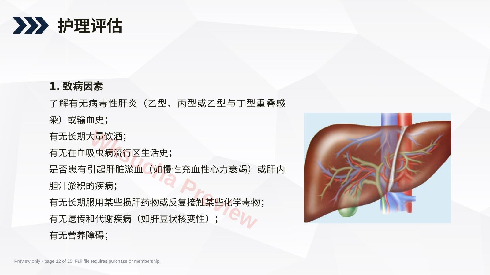 预览第 12 页