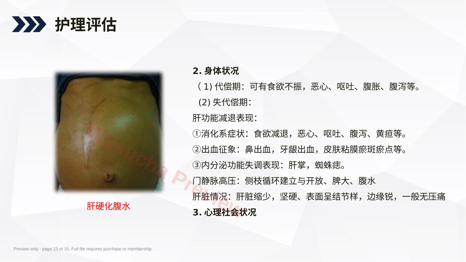 预览第 13 页