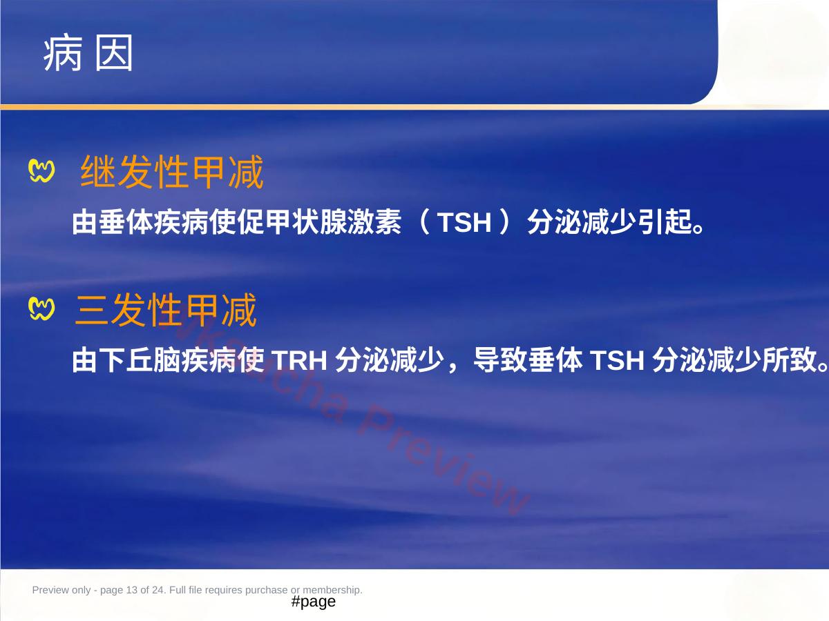 预览第 13 页