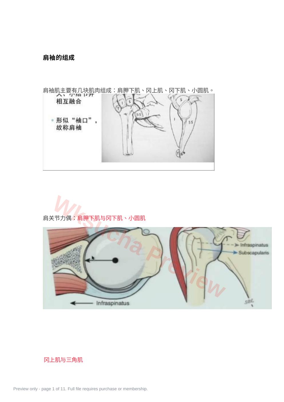 肩袖损伤的诊 断和治疗