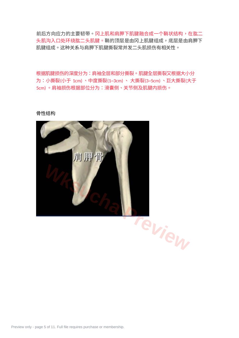 预览第 5 页