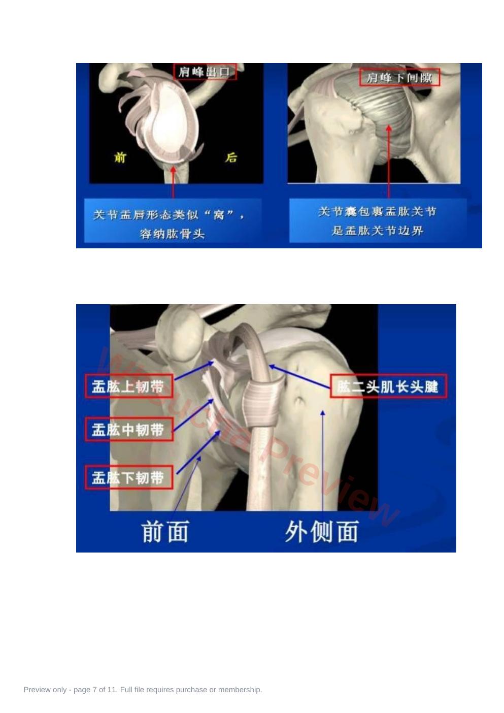 预览第 7 页