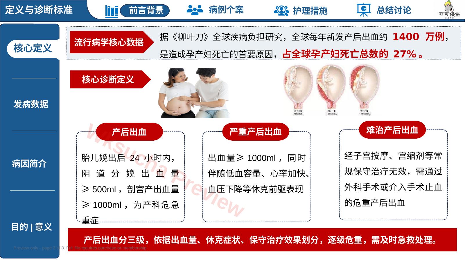 预览第 3 页