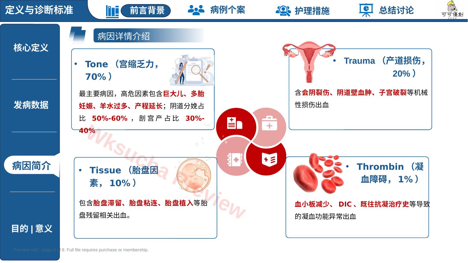 预览第 5 页
