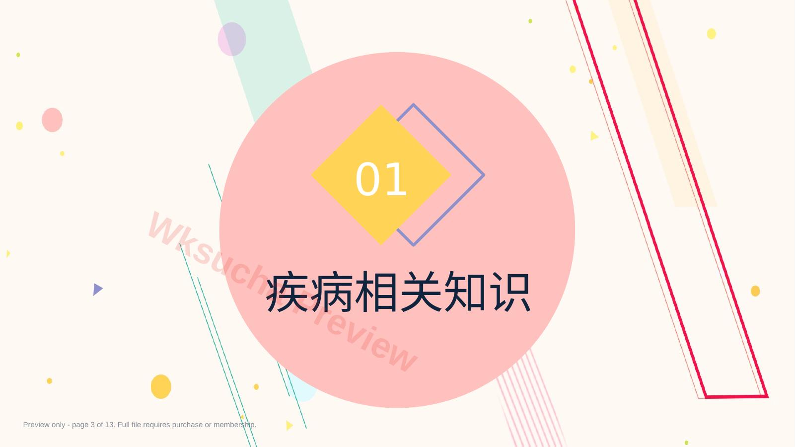 预览第 3 页