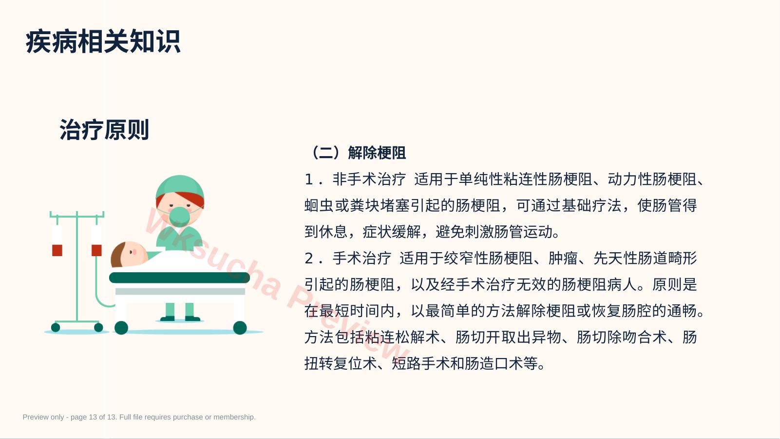 预览第 13 页