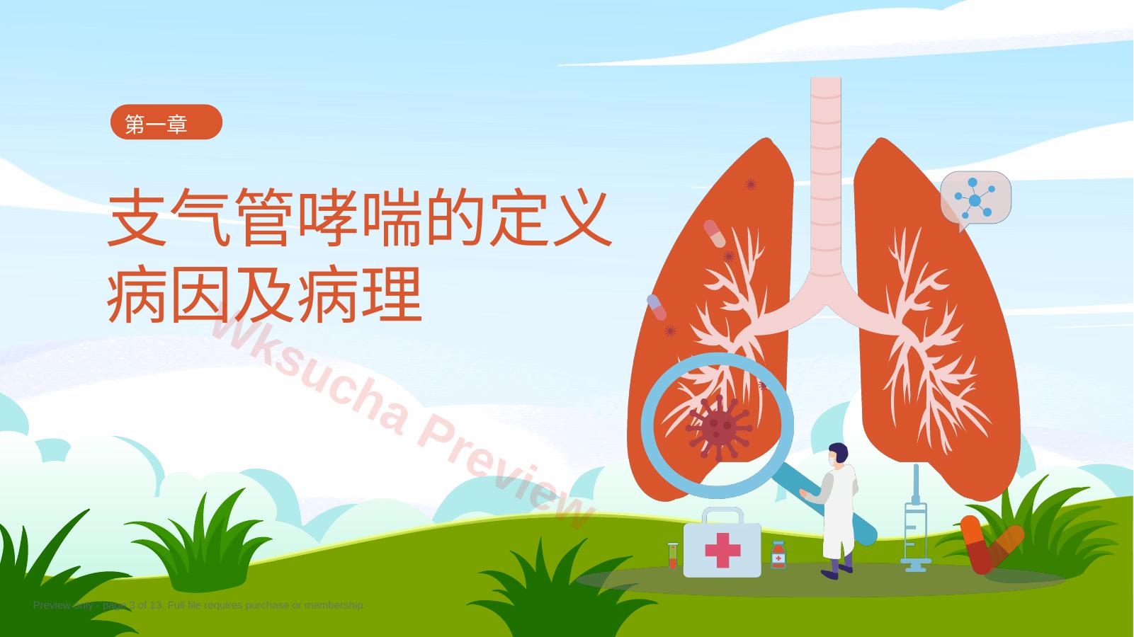 预览第 3 页