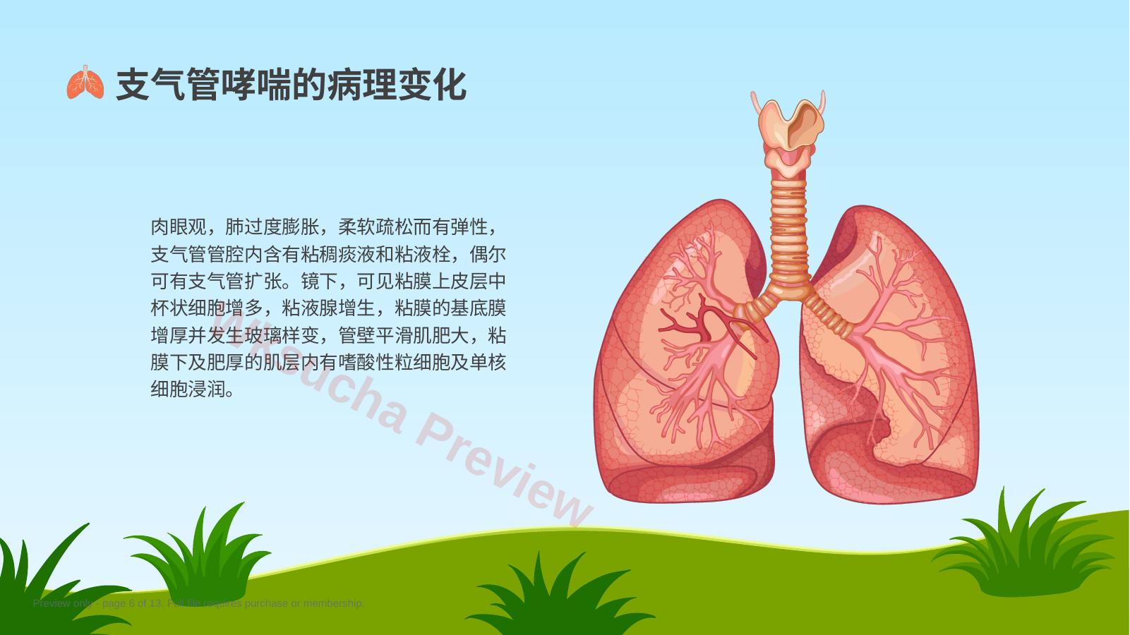 预览第 6 页