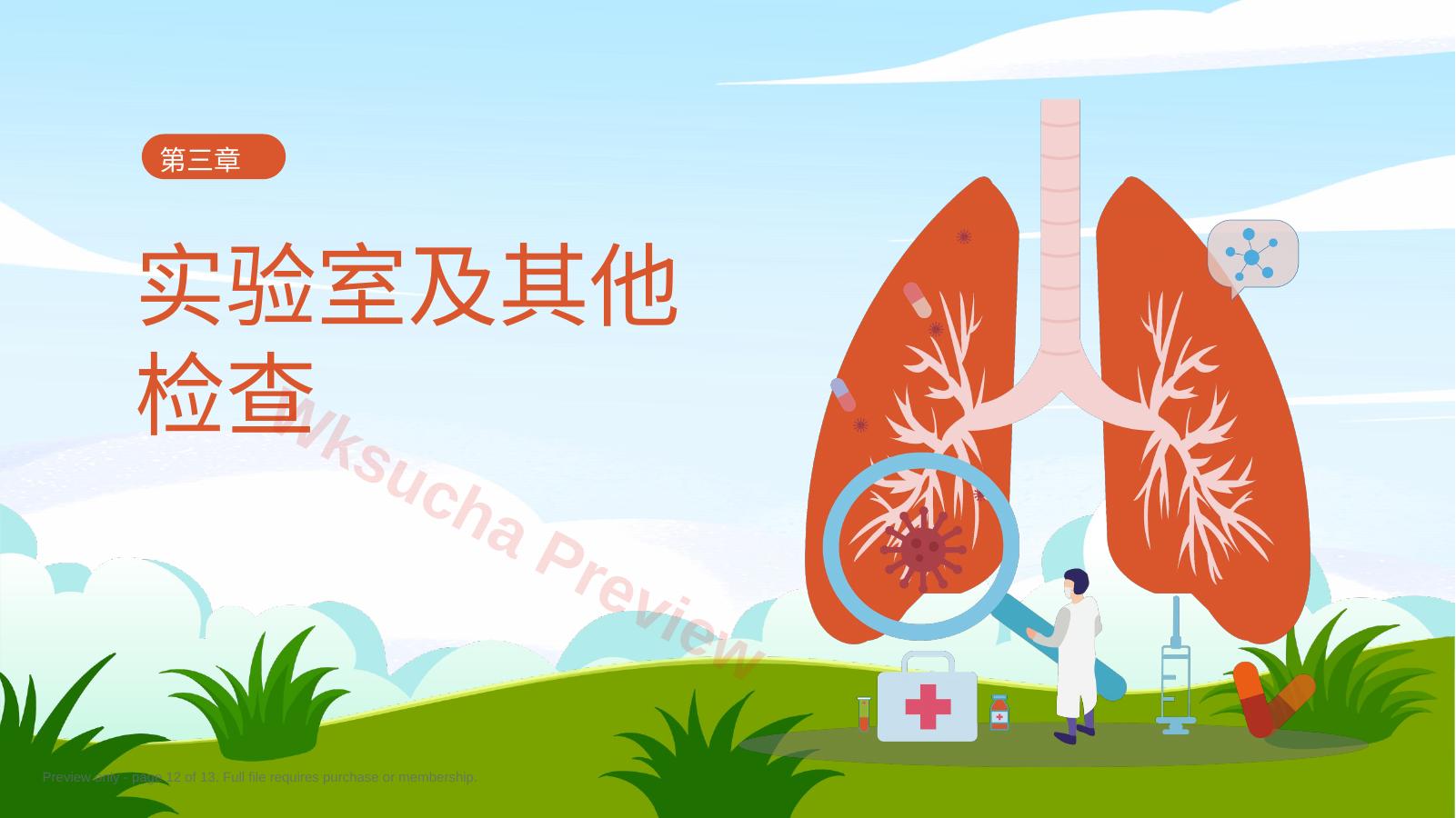 预览第 12 页