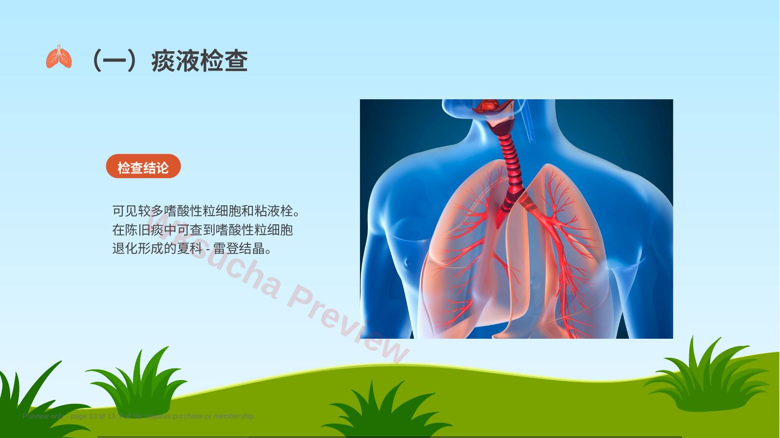 预览第 13 页