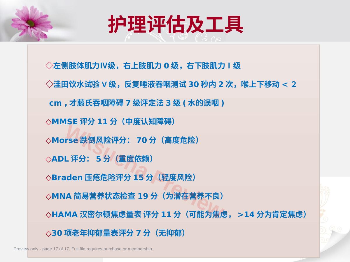 预览第 17 页