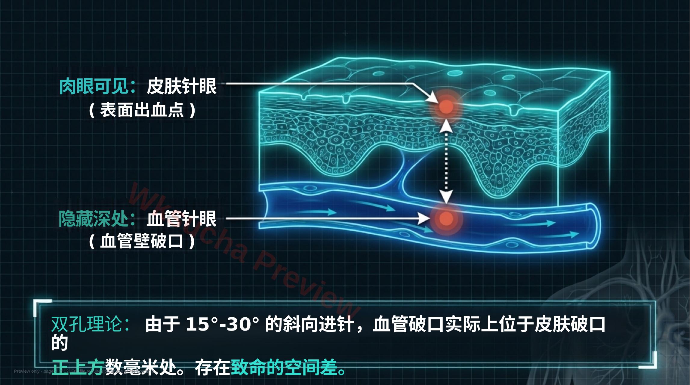 预览第 4 页