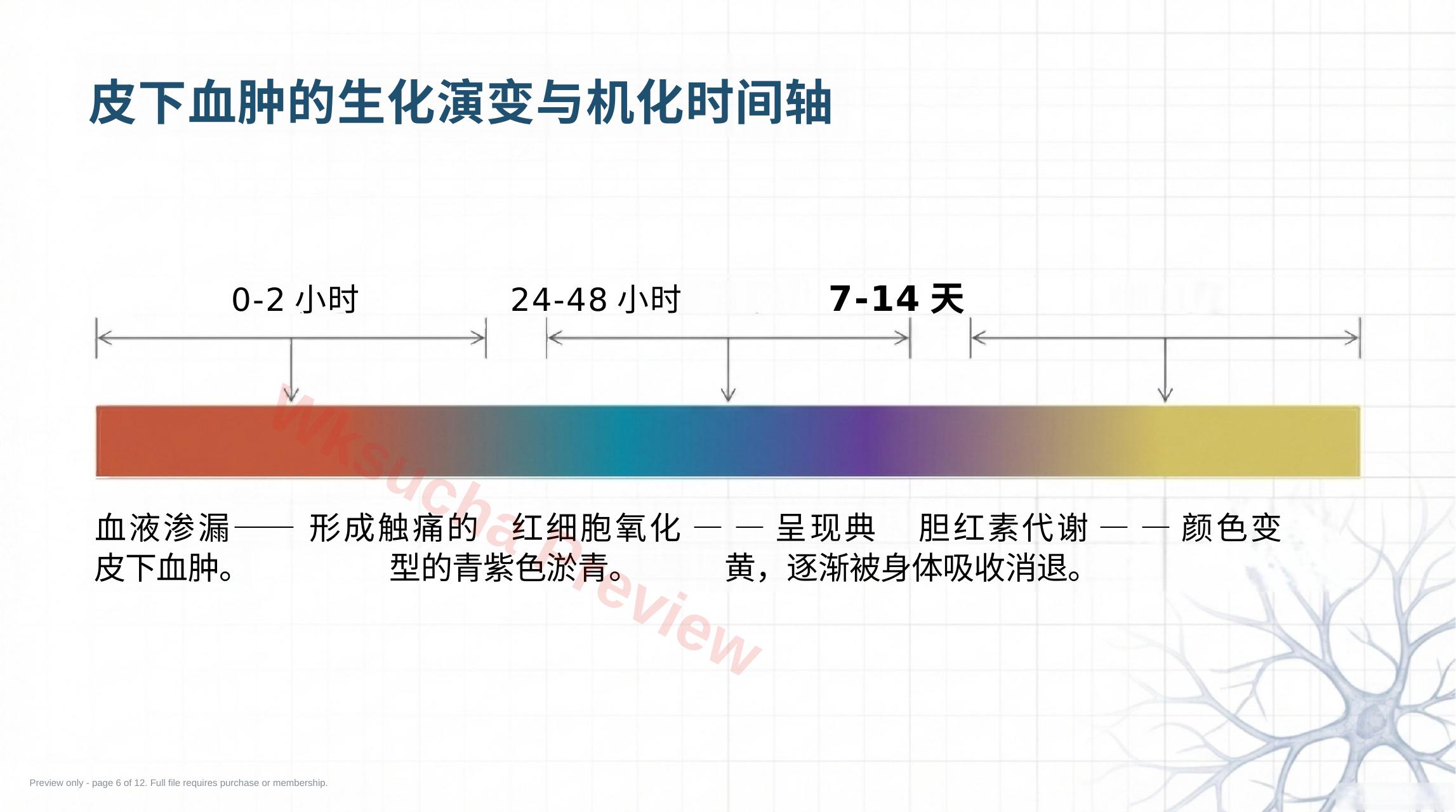 预览第 6 页