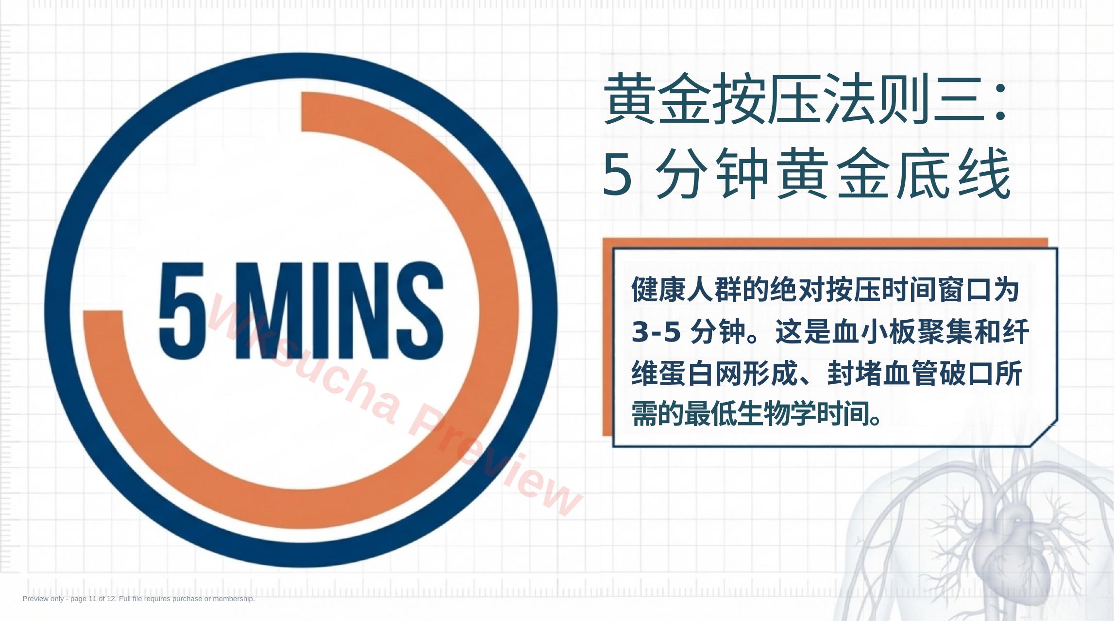 预览第 11 页
