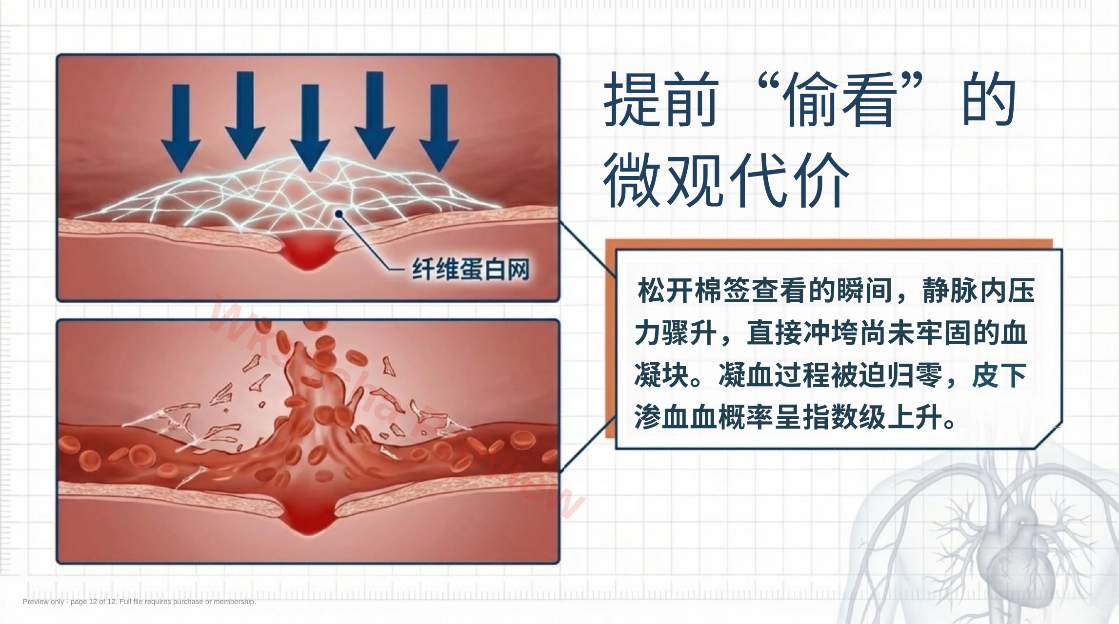 预览第 12 页
