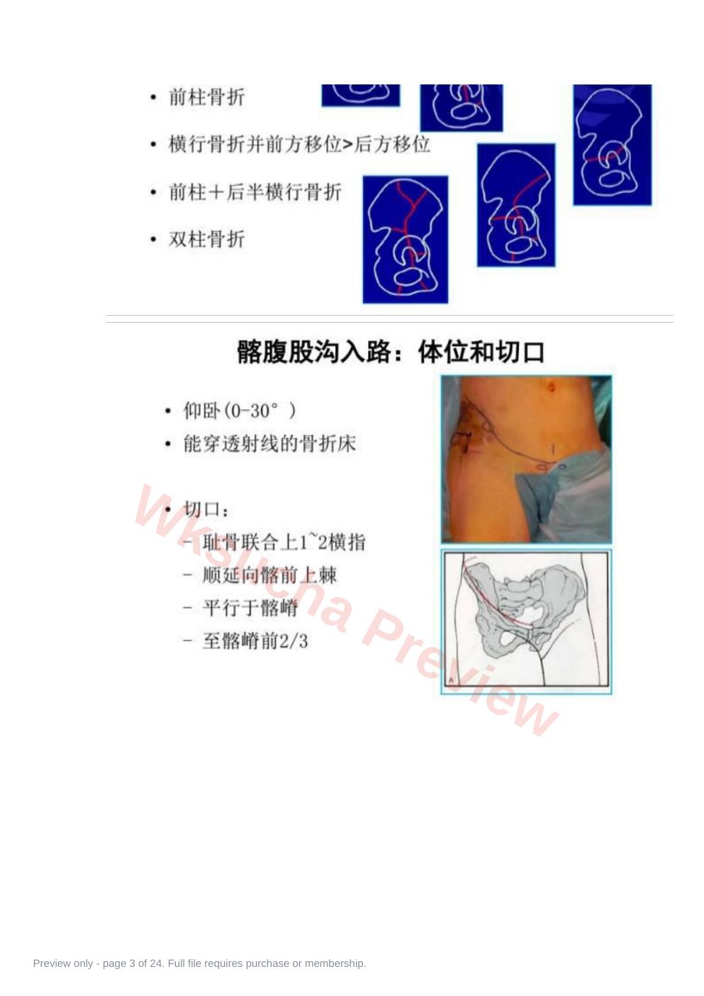 预览第 3 页