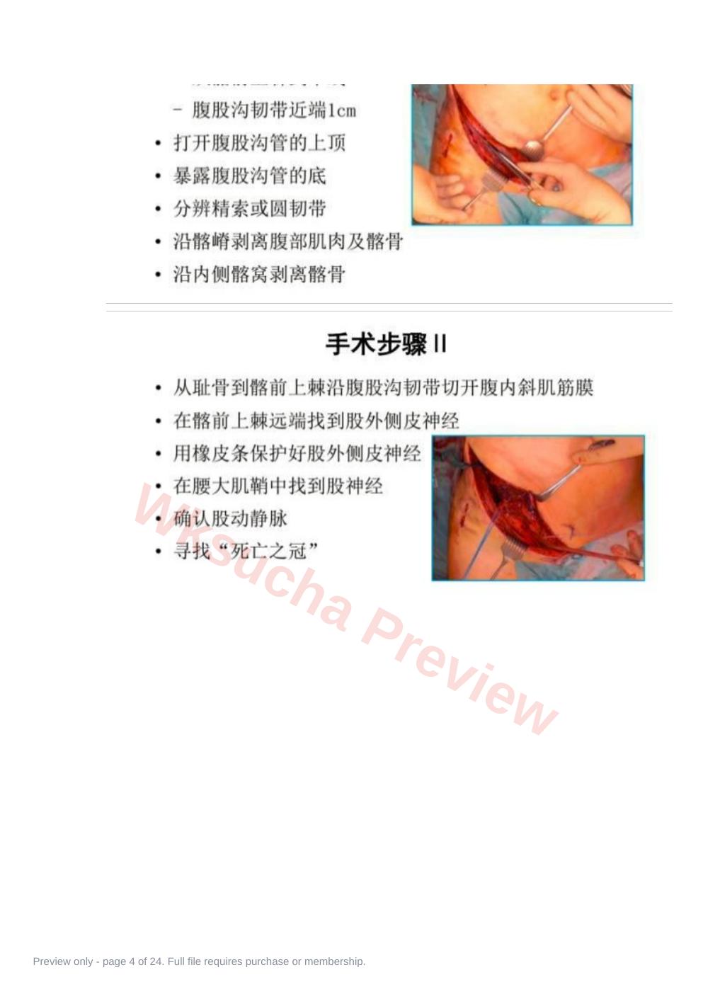 预览第 4 页