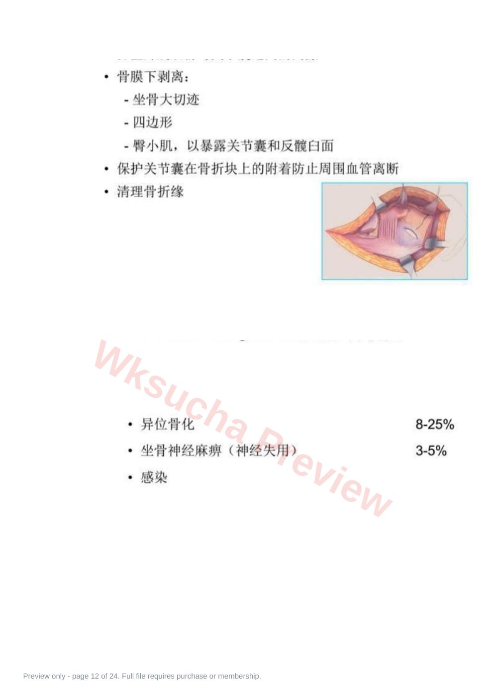 预览第 12 页