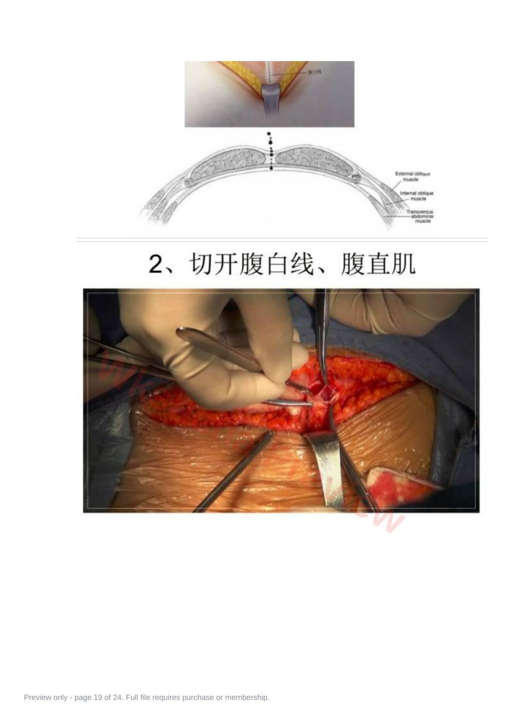 预览第 19 页