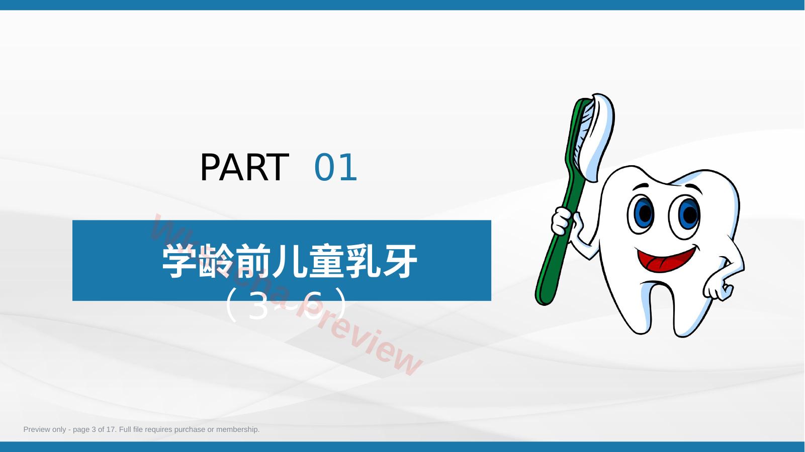 预览第 3 页