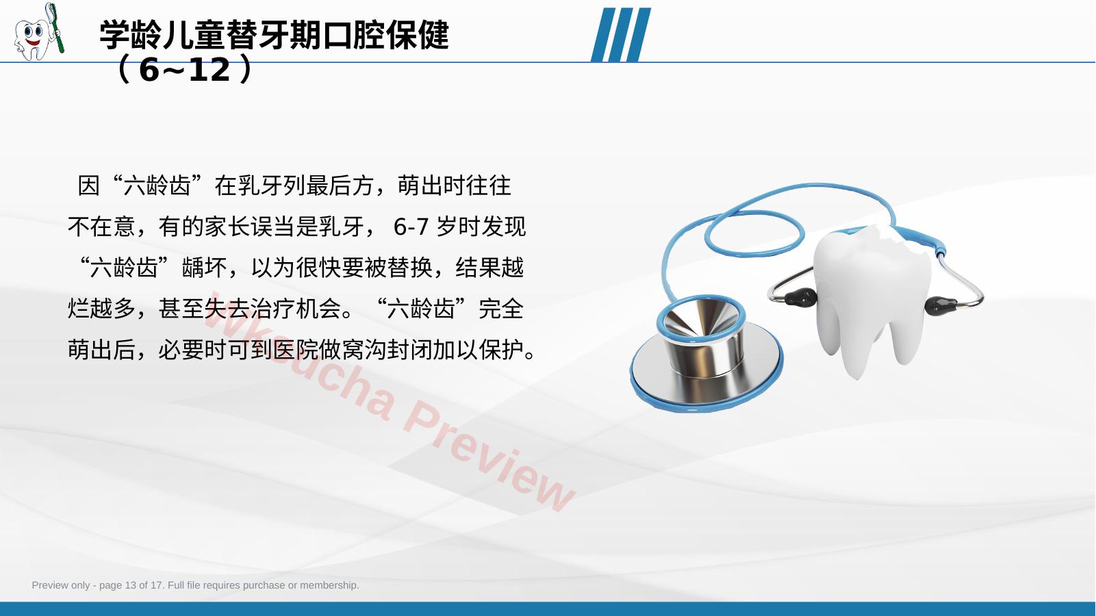 预览第 13 页