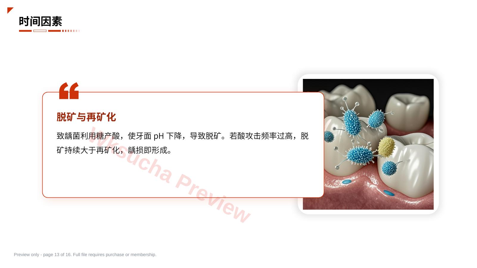 预览第 13 页