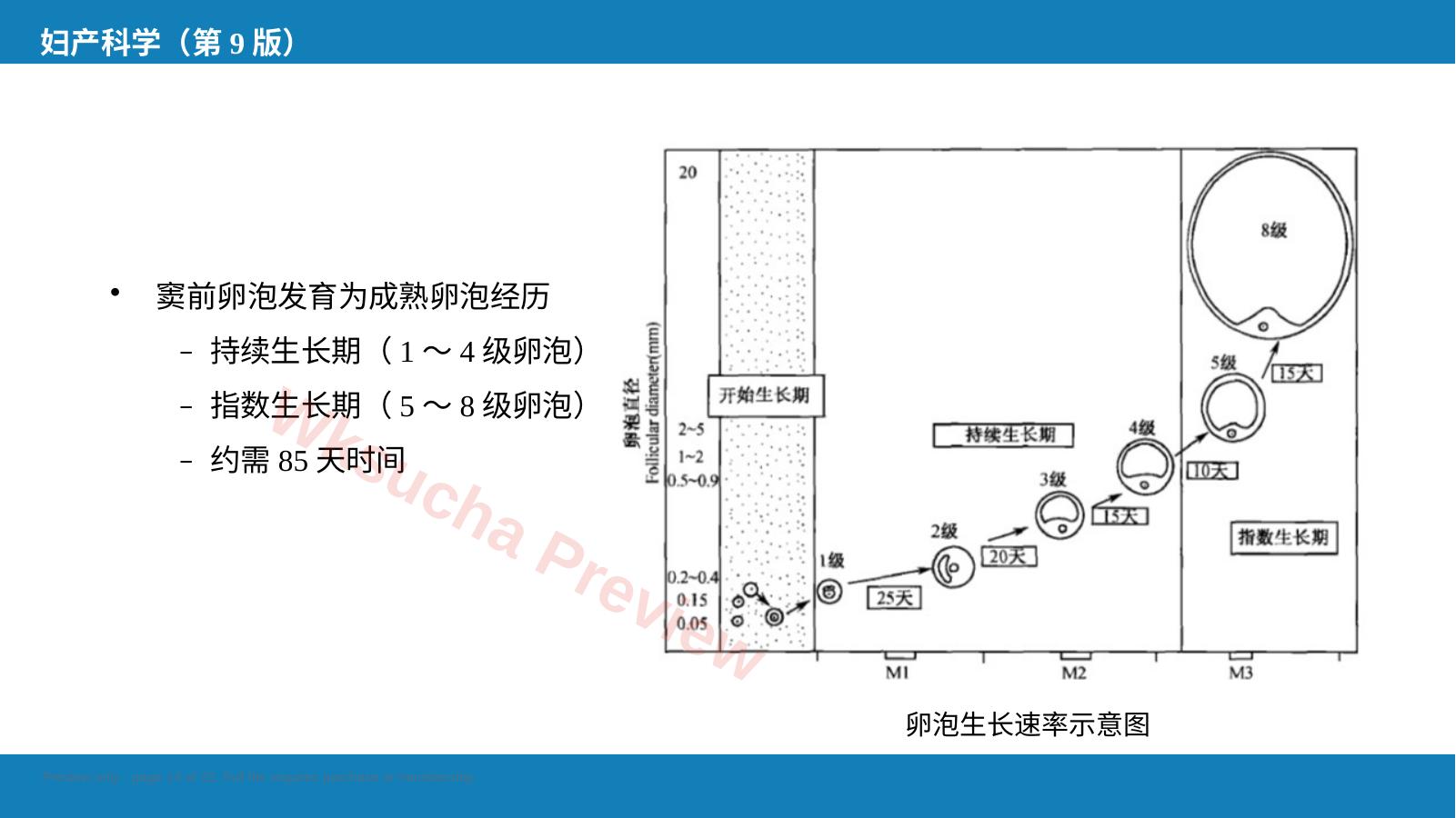 预览第 14 页