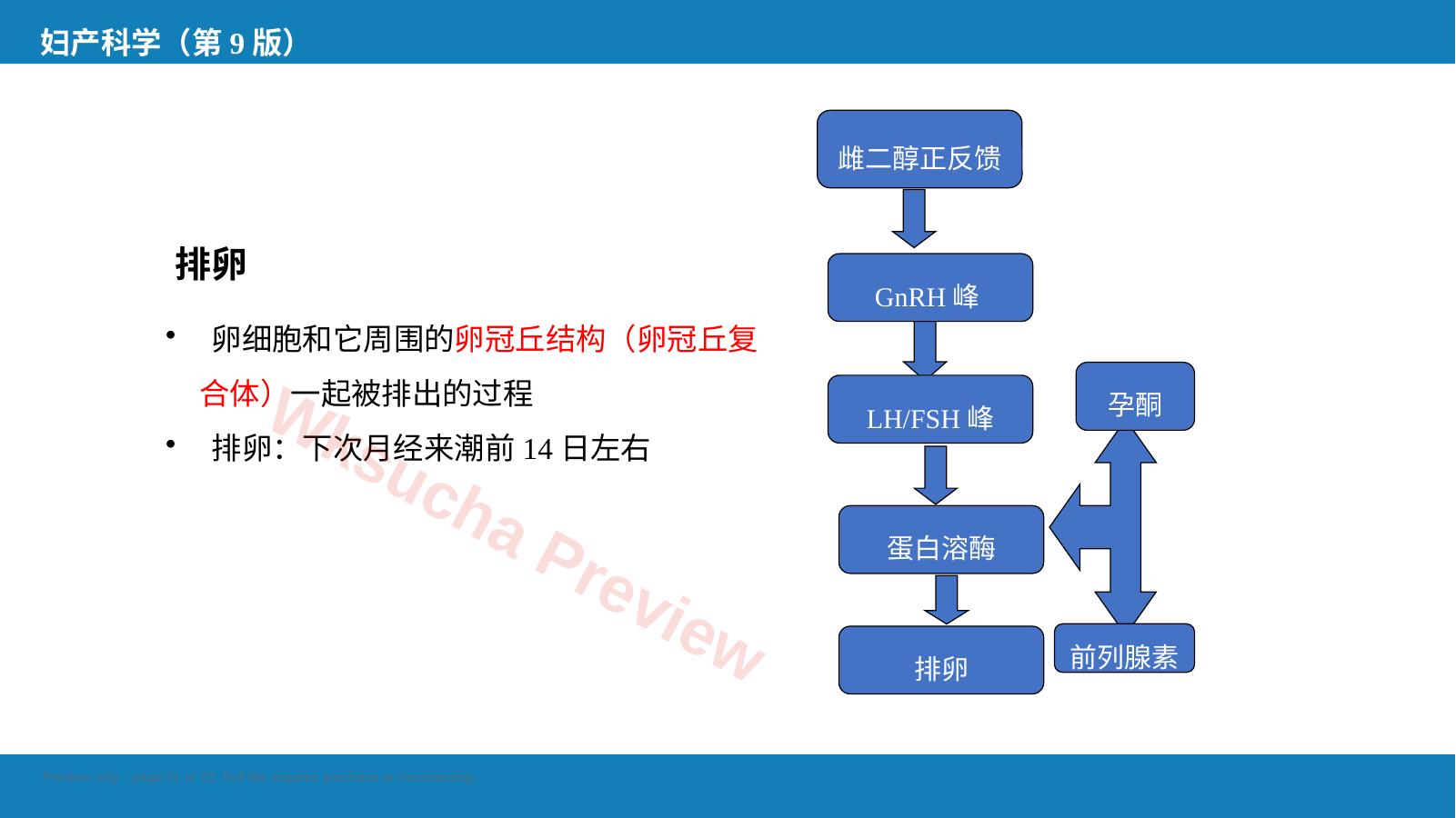 预览第 21 页