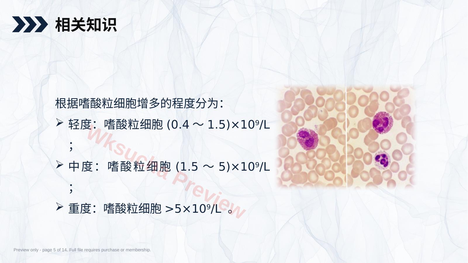 预览第 5 页