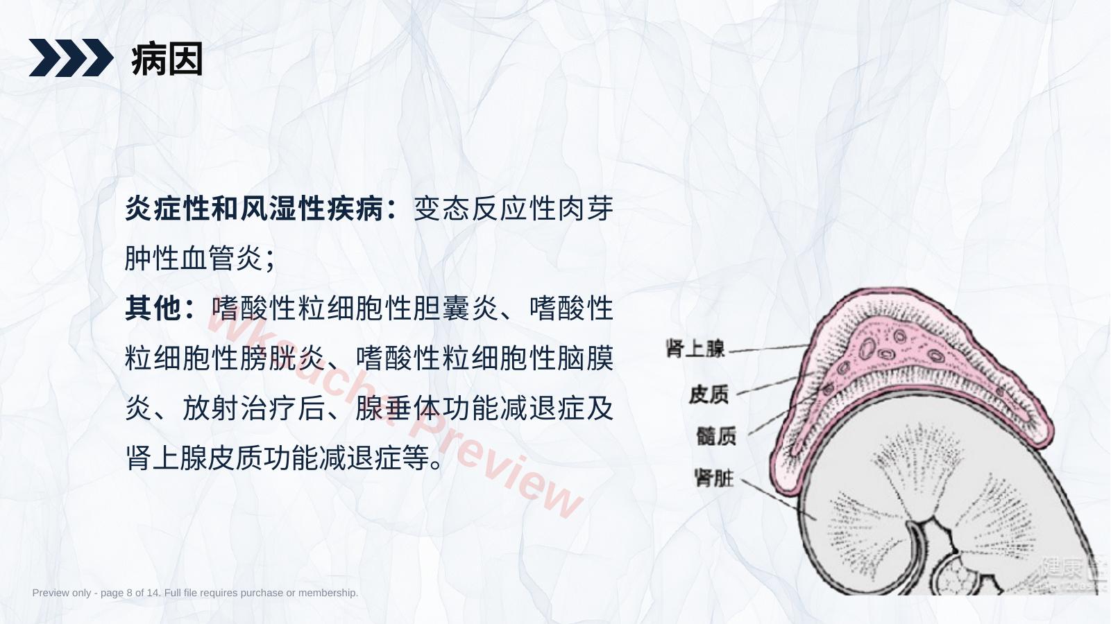 预览第 8 页