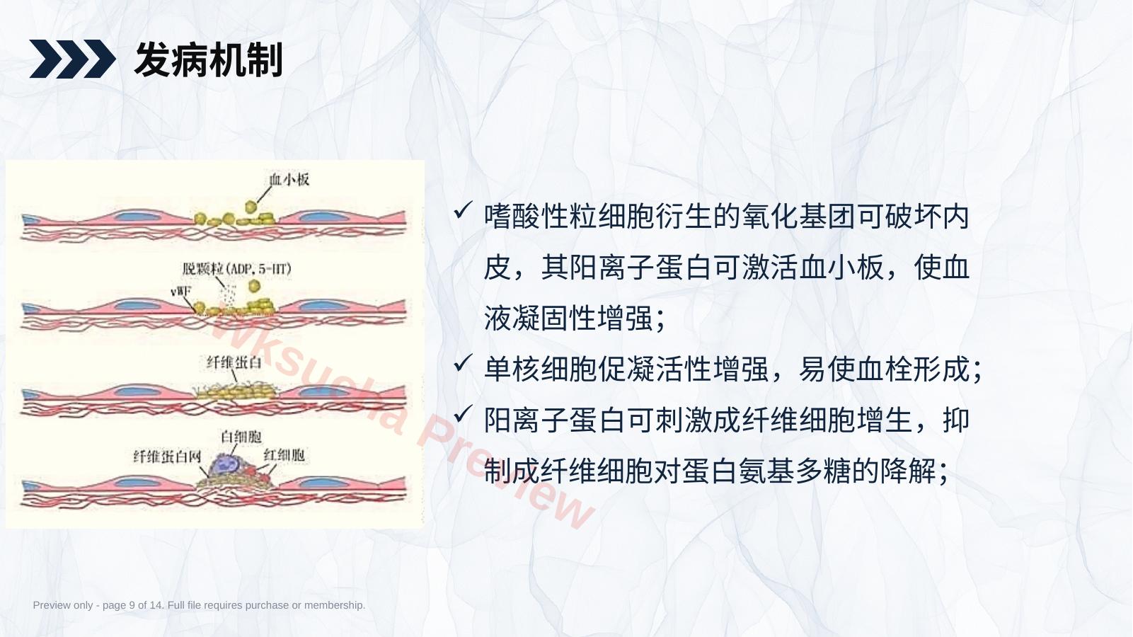 预览第 9 页