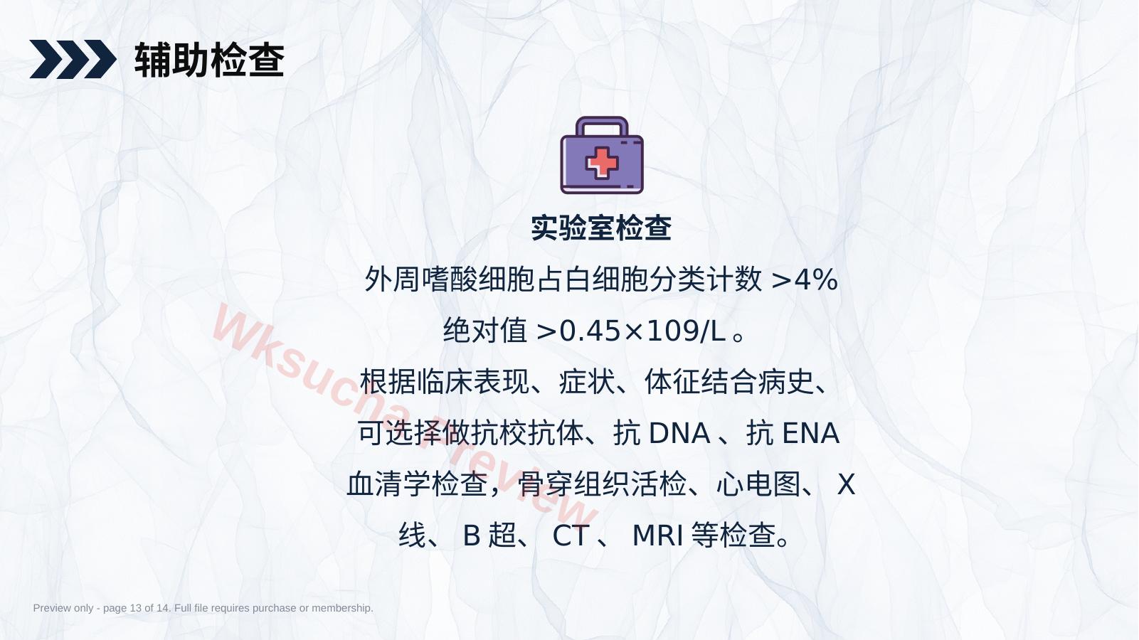 预览第 13 页