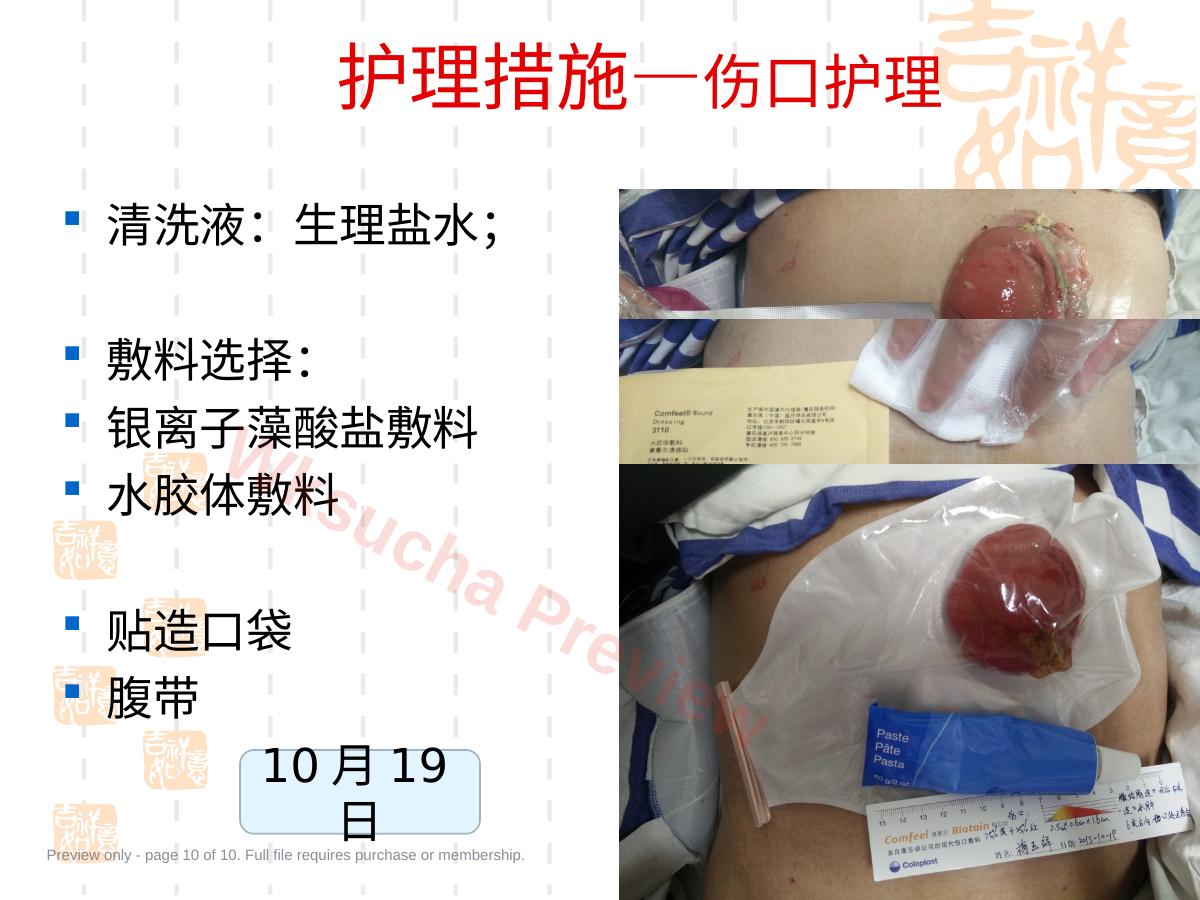 预览第 10 页
