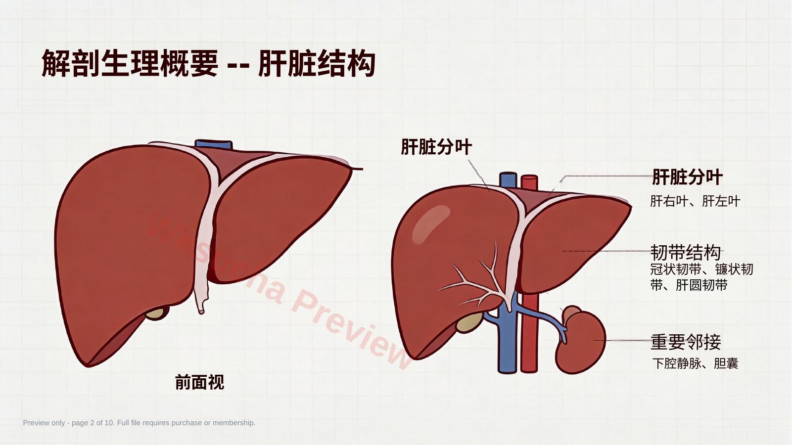 预览第 2 页