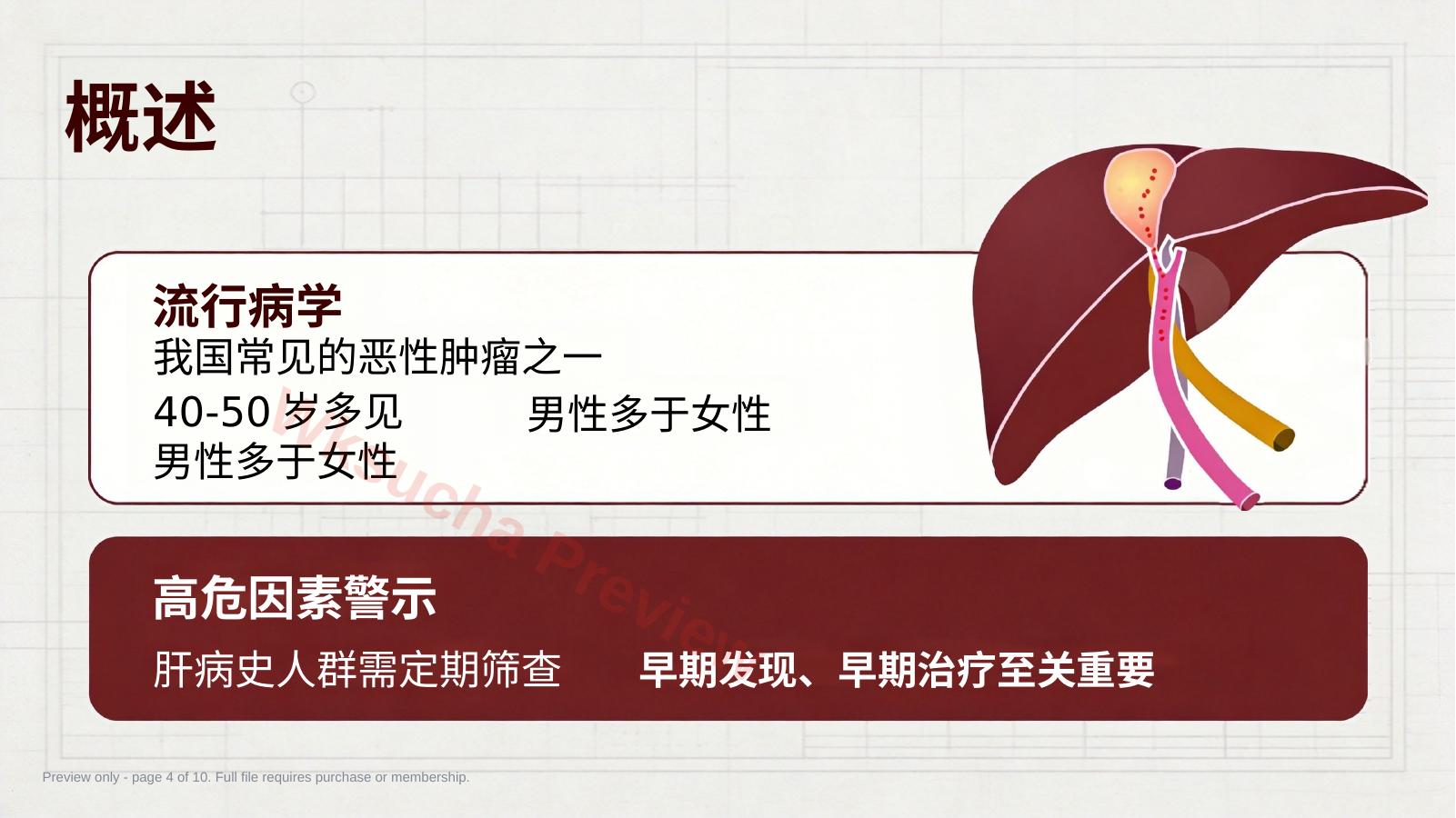 预览第 4 页