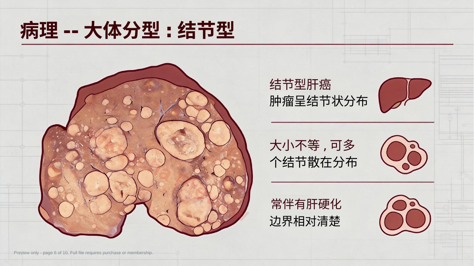 预览第 6 页